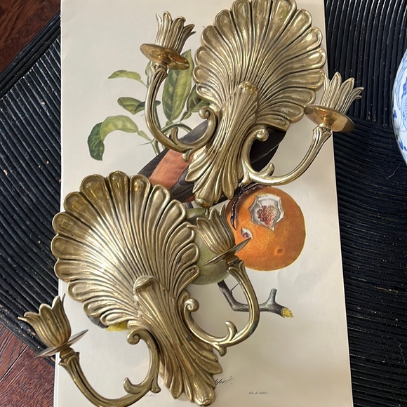 •VINTAGE MIDCENTURY SCONCE SHELL CHIC PALM BEACH• - Picture 8 of 8